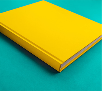 CENTRO ANDALUZ DEL LIBRO - La lluvia amarilla — Julio Llamazares - image